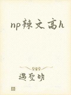 np辣文高h