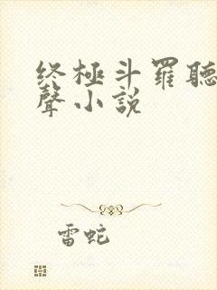 终极斗罗听书有声小说