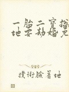 一胎二宝总裁爹地要劫婚免费阅读