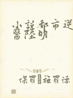 小说都市逆天邪医陆明
