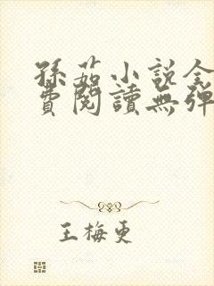孙茹小说全文免费阅读无弹窗封面