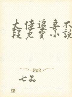大佬追妻不择手段免费小说