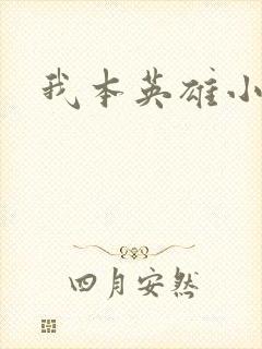 我本英雄小说