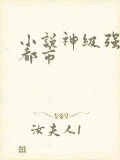 小说神级强者在都市