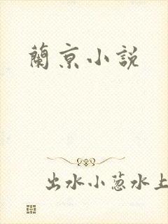 兰京小说
