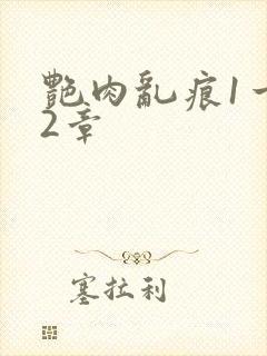 艳肉乱痕1一12章封面