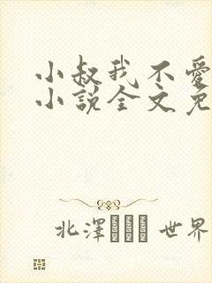 小叔我不爱你了小说全文免费阅读