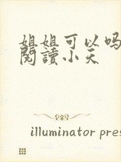 姐姐可以吗免费阅读小天封面