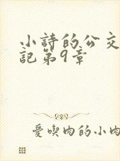 小诗的公交车日记第9章封面
