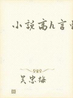 小说高h言情