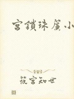 宫锁珠帘小说封面