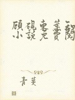 顾砚东叶知安的小说免费阅读全文