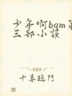 少年啊bgm第三部小说封面