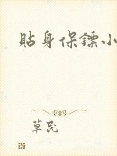 贴身保镖小说