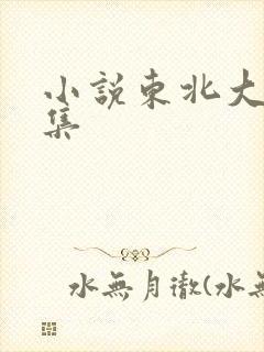 小说东北大炕全集