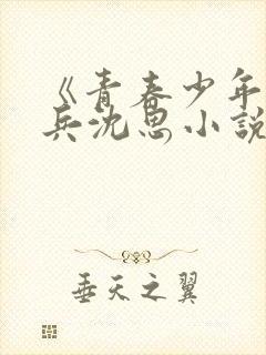 《青春少年》李兵沈思小说