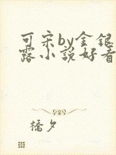 可宋by金银花露小说好看吗