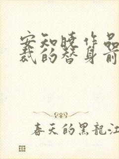 安知晓作品:总裁的替身前妻 小说网封面