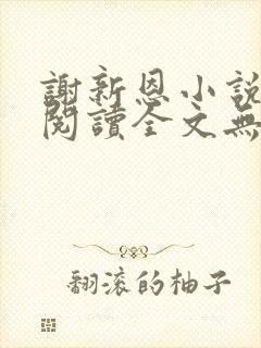 谢新恩小说免费阅读全文无弹窗