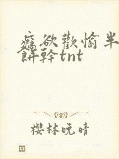 瘾欲欢愉半块小饼干tnt封面