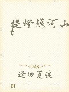 提灯照河山txt封面