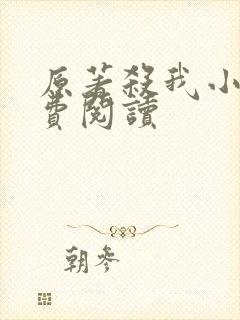 原著杀我小说免费阅读
