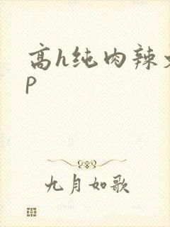 高h纯肉辣文np