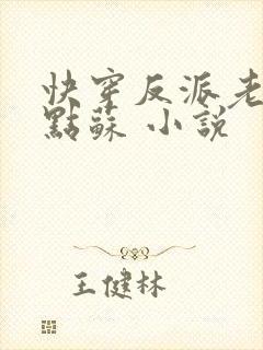 快穿反派老公有点苏 小说封面
