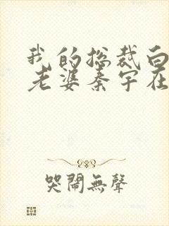 我的总裁白富美老婆秦宇在线阅读小说
