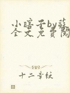 小瞎子by苏软全文免费阅读