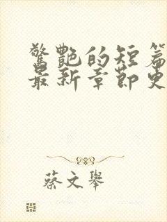 惊艳的短篇合集最新章节更新艳情小说