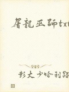 屠龙巫师txt