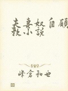 夫妻奴自愿被调教小说封面
