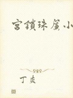 宫锁珠帘小说封面
