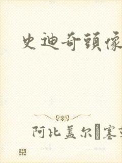史迪奇头像