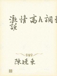 激情高h调教小说