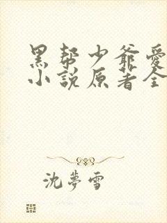 黑帮少爷爱上我小说原著全文封面