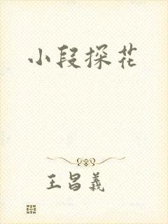 小段探花