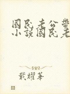 国民老公带回家小说国民老公带回家
