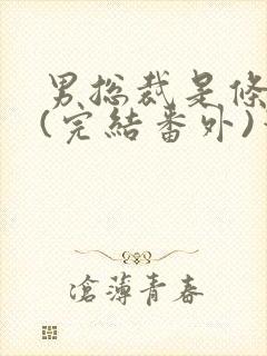 男总裁是条骚狗(完结番外)笔趣阁小说