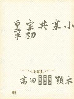 皇家共享小公主宁初封面