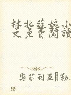 林北苏婉小说全文免费阅读最新杨辰