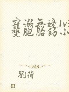 宠溺无边1v3双胞胎的小说