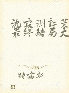 沈寂洲许茉孟姣最终结局大结局封面