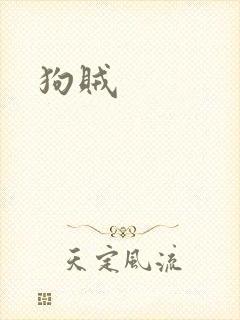 狗贼封面
