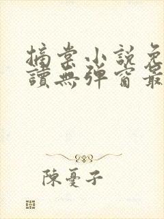 摘棠小说免费阅读无弹窗最新章节封面