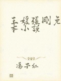 王媛张刚免费全本小说