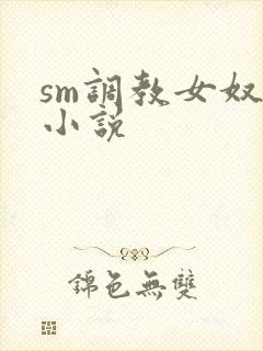 sm调教女奴的小说