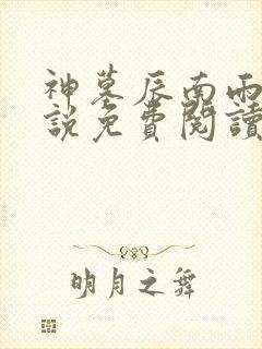 神墓辰南雨馨小说免费阅读无弹窗封面
