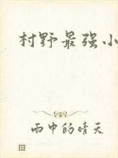 村野最强小农民